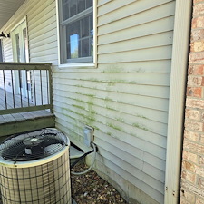 Professional-House-Washing-Completed-in-Ceresco-Michigan 2